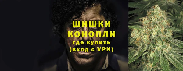 дживик Киренск