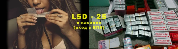 ПСИЛОЦИБИНОВЫЕ ГРИБЫ Бородино