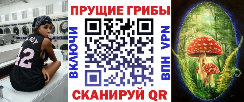 Галлюциногенные грибы Psilocybine cubensis  Сретенск 