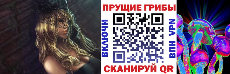 Галлюциногенные грибы Psilocybine cubensis Сретенск